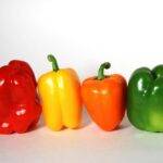 Découvrez les bienfaits des poivrons pour la santé, les différences entre les couleurs et des conseils pour les cuisiner et les savourer.